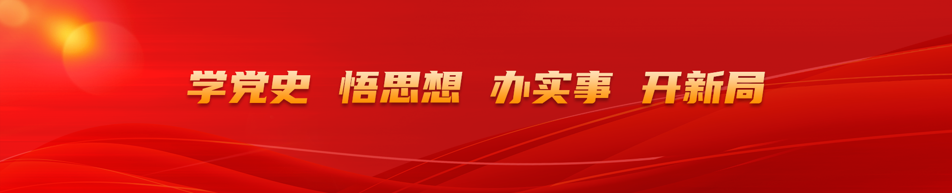 学党史 悟思想 办实事 开新局